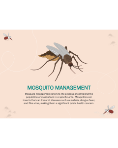 Mosquito Management PPT Slide 1