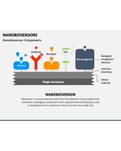 Nanobiosensors PPT Slide 1