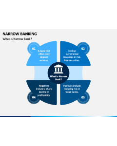 Narrow Banking PPT Slide 1