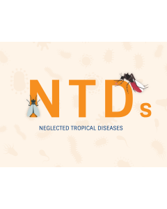 Neglected Tropical Diseases PPT Thumbnail