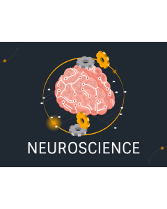 Neuroscience PPT Slide 1