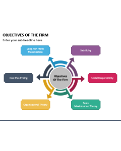 Objectives of The Firm PPT Slide 1