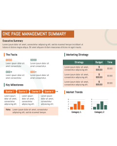 One Page Management Summary PPT Slide 1