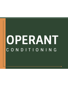 Operant Conditioning PPT Slide 1