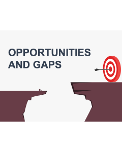 Opportunities and Gaps PPT Slide 1