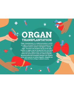 Organ Transplantation PPT Slide 1