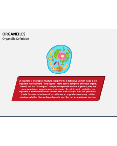 Organelles PPT Slide 1