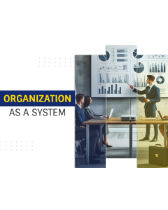 Organization as a System PPT Thumbnail