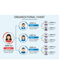 Animated Organizational Chart PPT Slide 1