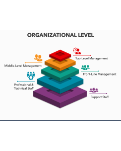 Organizational Level PPT Slide 1