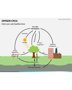 Oxygen Cycle PPT Slide