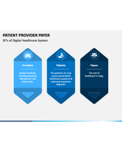 Patient Provider Payer PPT Slide 1
