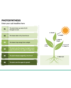 Photosynthesis PPT Slide 1