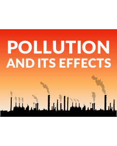 Pollution and its Effects PPT Slide 1