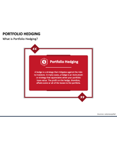Portfolio Hedging PPT Slide 1