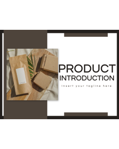 Product Introduction PPT Slide 1