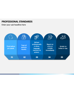 Professional Standards PPT Slide 1