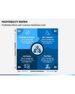 Profitability Matrix PPT Slide 1