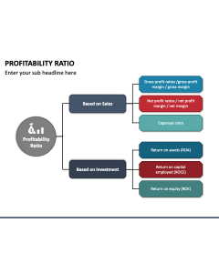 Profitability Ratio PPT Slide 1