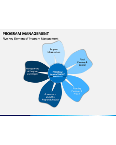 Program Management PPT Slide 1