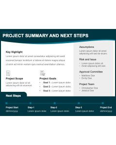 Project Summary and Next Steps PPT Slide 1