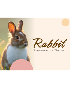 Rabbit Presentation Theme PPT Thumbnail