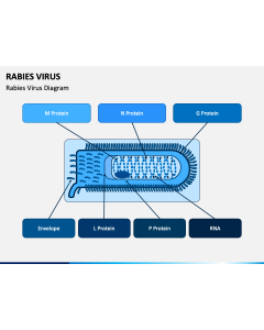 Rabies Virus PPT Slide 1