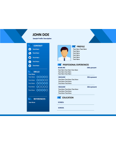 Professional Resume PPT slide 1