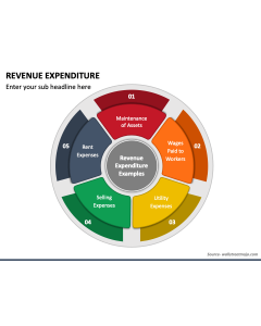Revenue Expenditure PPT Slide 1