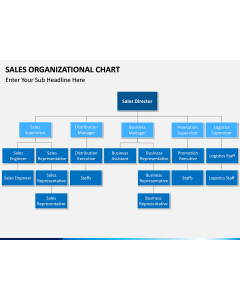 Sales organization PPT slide 1