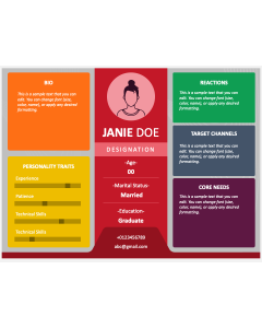 Sales Persona PPT Slide 1