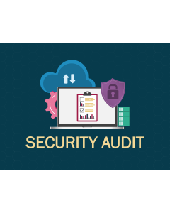 Security Audit PPT Slide 1