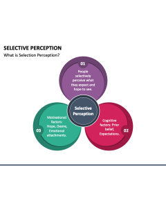 Selective Perception PPT Slide 1