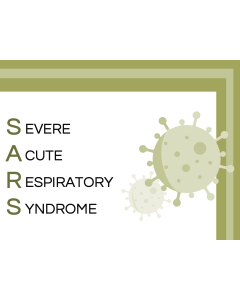Severe Acute Respiratory Syndrome (SARS) PPT Thumbnail