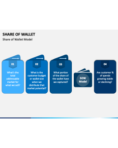 Share of Wallet PPT Slide 1