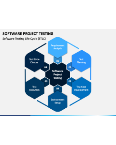 Software Project Testing PPT Slide 1