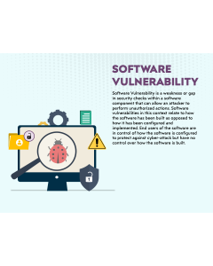Software Vulnerability PPT Slide 1