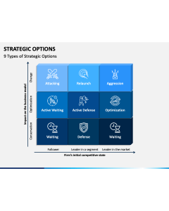 Strategic Options PPT Slide 1