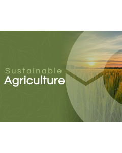Sustainable Agriculture PPT Thumbnail