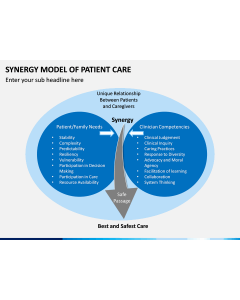Synergy Model of Patient Care PPT Slide 1