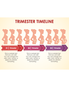Trimester Timeline PPT Slide 1