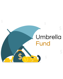 Umbrella Fund PowerPoint and Google Slides Template