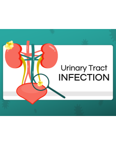 Urinary Tract Infection PPT Thumbnail