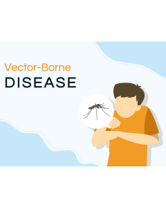 Vector-Borne Disease PPT Thumbnail