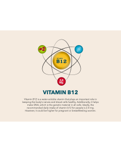 Vitamin B12 PPT Slide 1