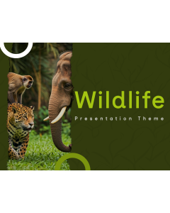 Wildlife Presentation PPT Thumbnail