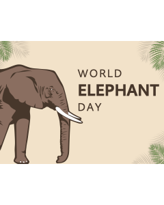 World Elephant Day PPT Slide 1
