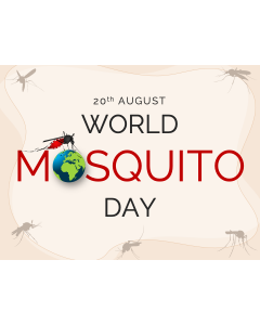 World Mosquito Day PPT Slide 1