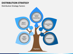 Distribution Strategy PPT Slide 3