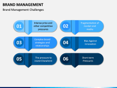 Brand Management PPT Slide 14